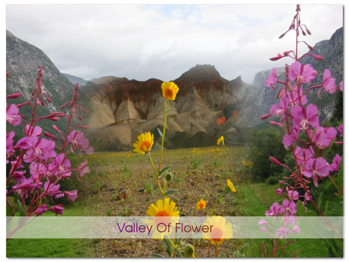 Valley of Flower