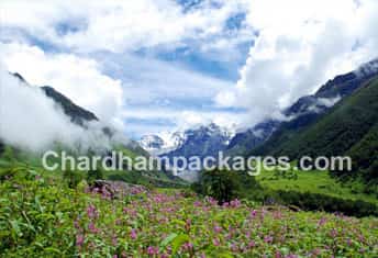 Char Dham with Valley of Flower 2025